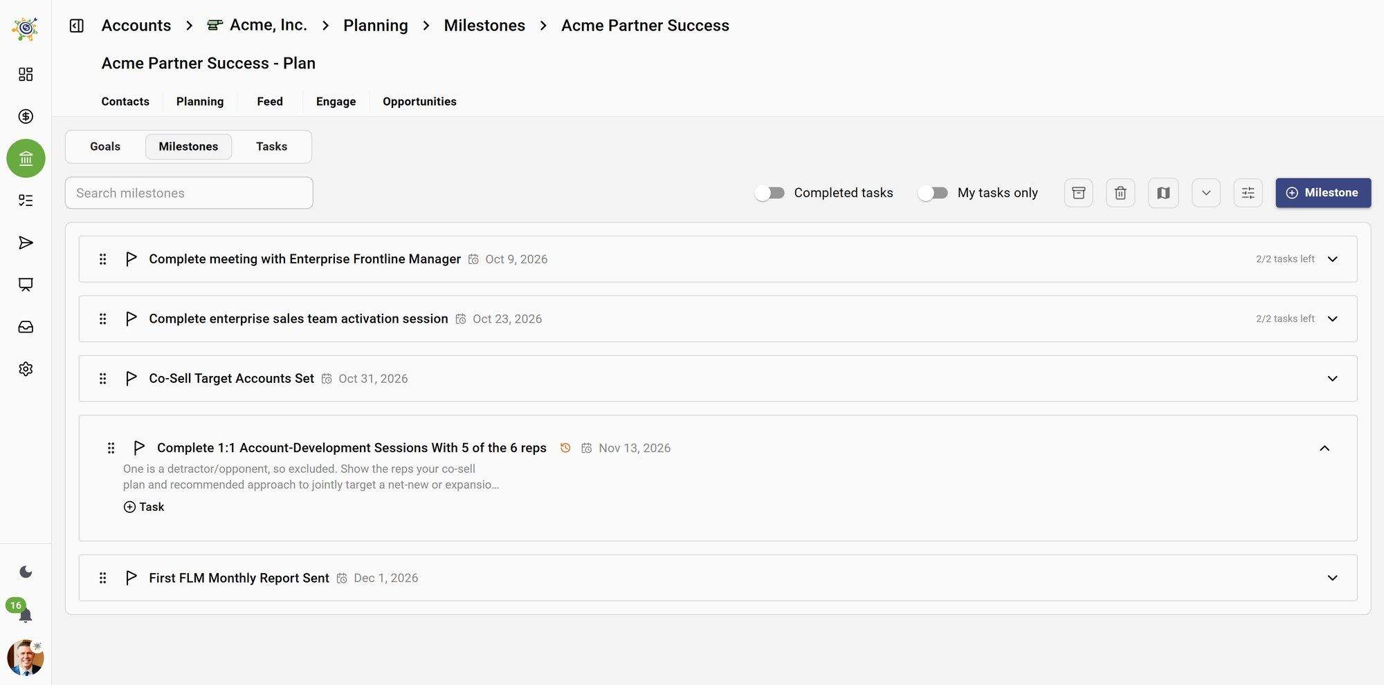 Partner success plan with milestones, owners and due dates
